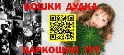 тгк Обь